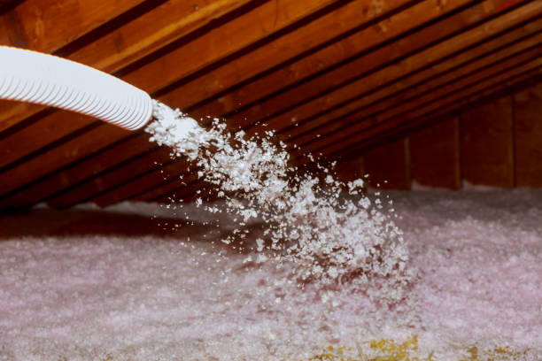 Best Insulation Installation Services in Dodge City, KS